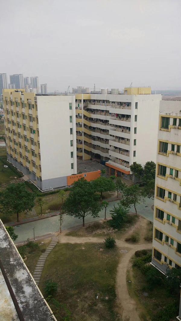 图片1(1)