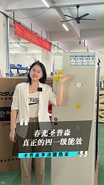 真正的四一级能效